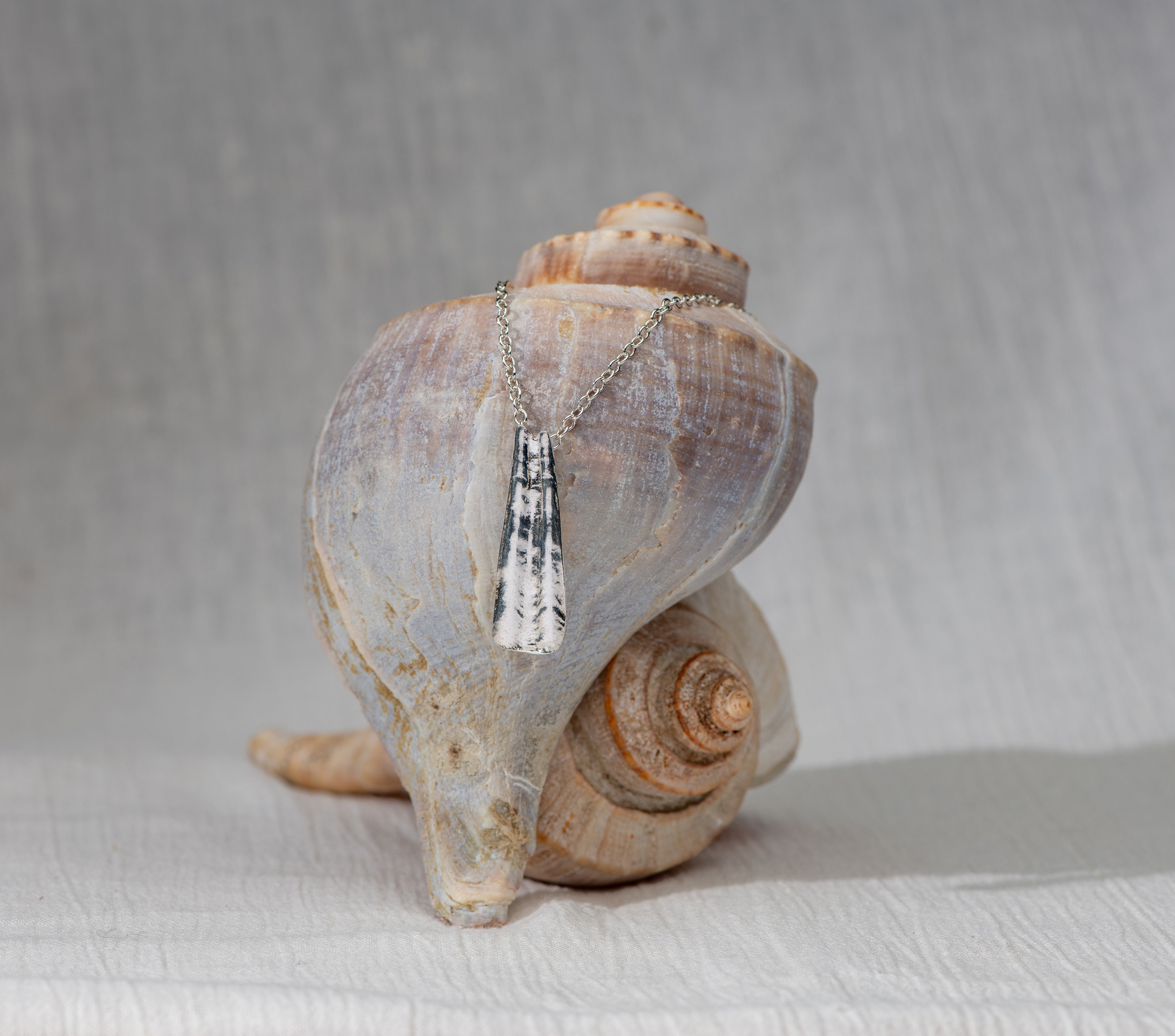 Decorative shell with a metallic scallop silver pendant 