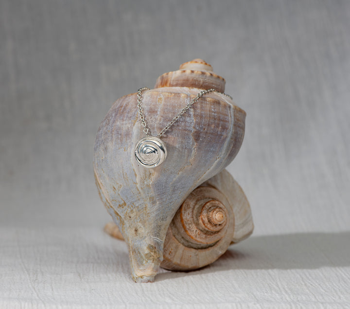Swirl Shell Silver Necklace